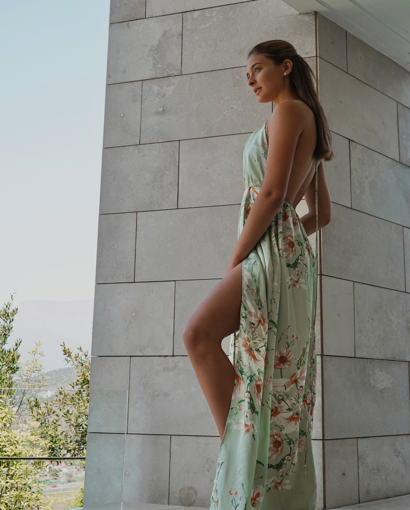 Vestido Largo De Fiesta Jacinta Estampado Fondo Menta-1