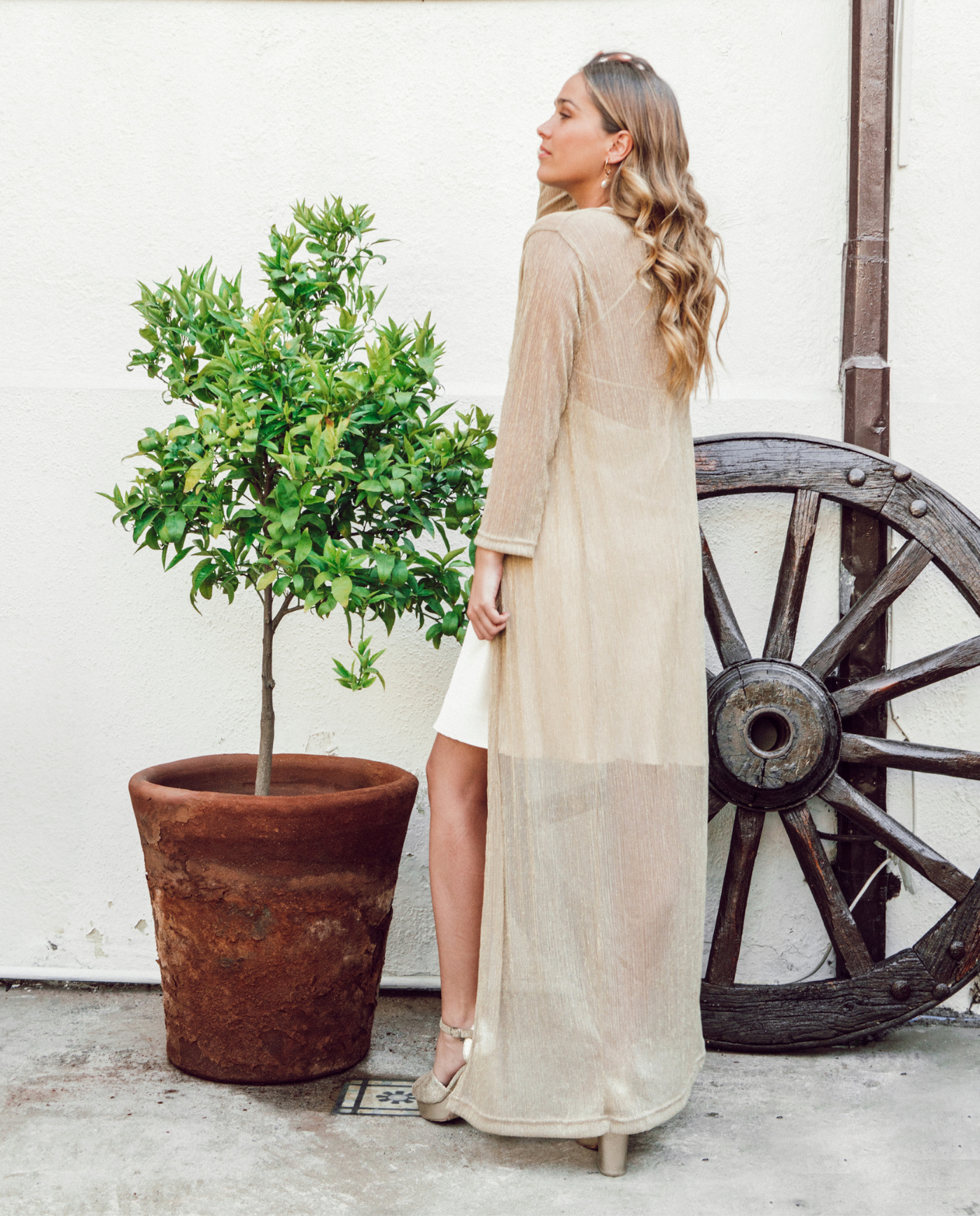 Maxi Tapado Camila Plisado Transparente Dorado-4