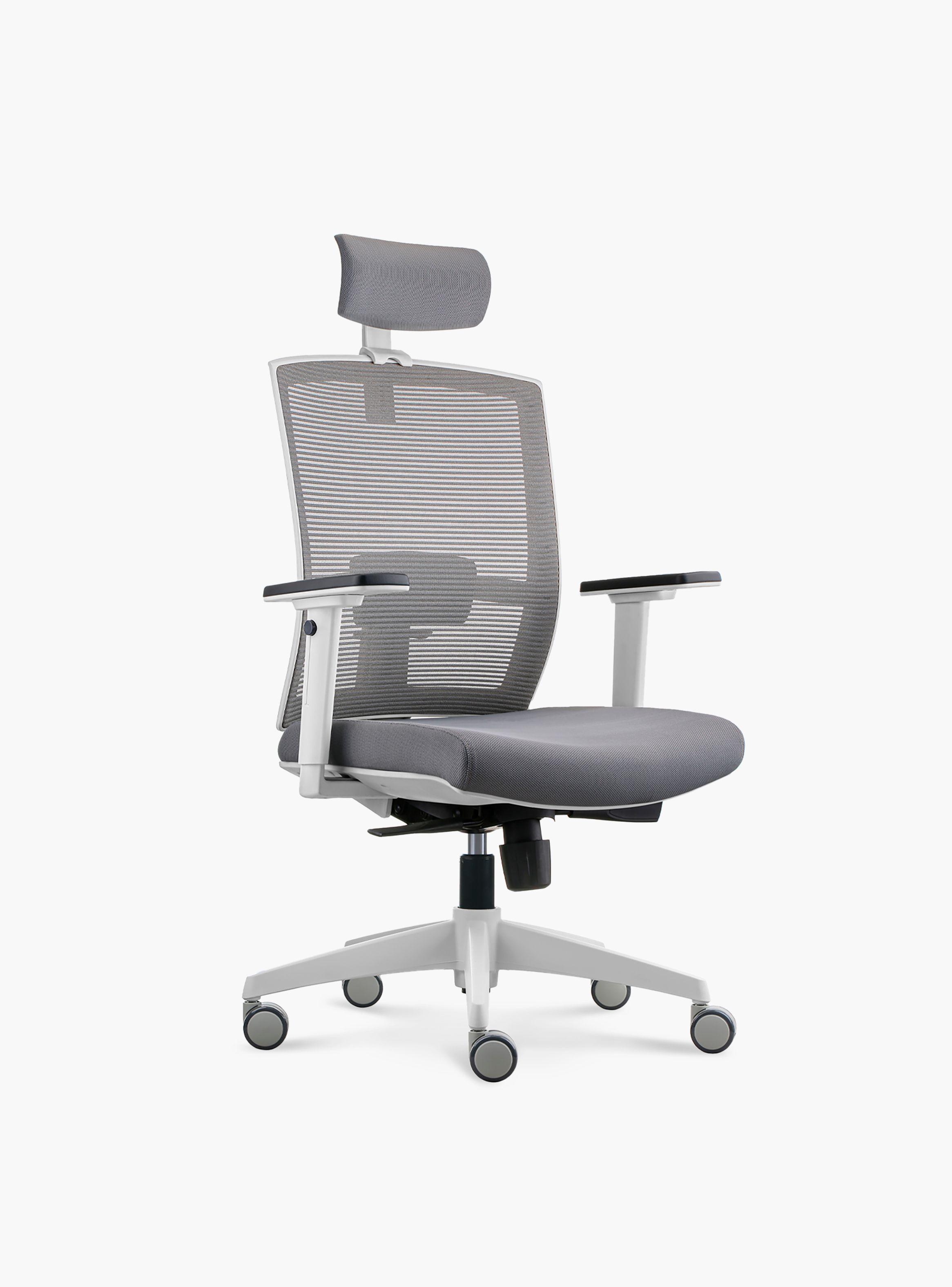 Silla Oficina Taylor Pro Gris Claro con cabecero-2