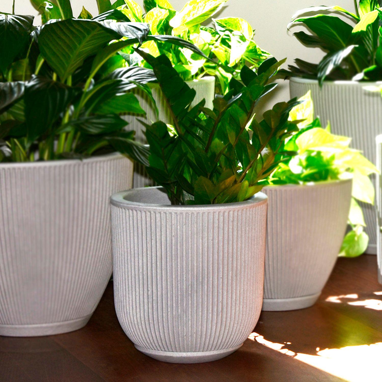 Macetero Pumalin 29 Crema-3