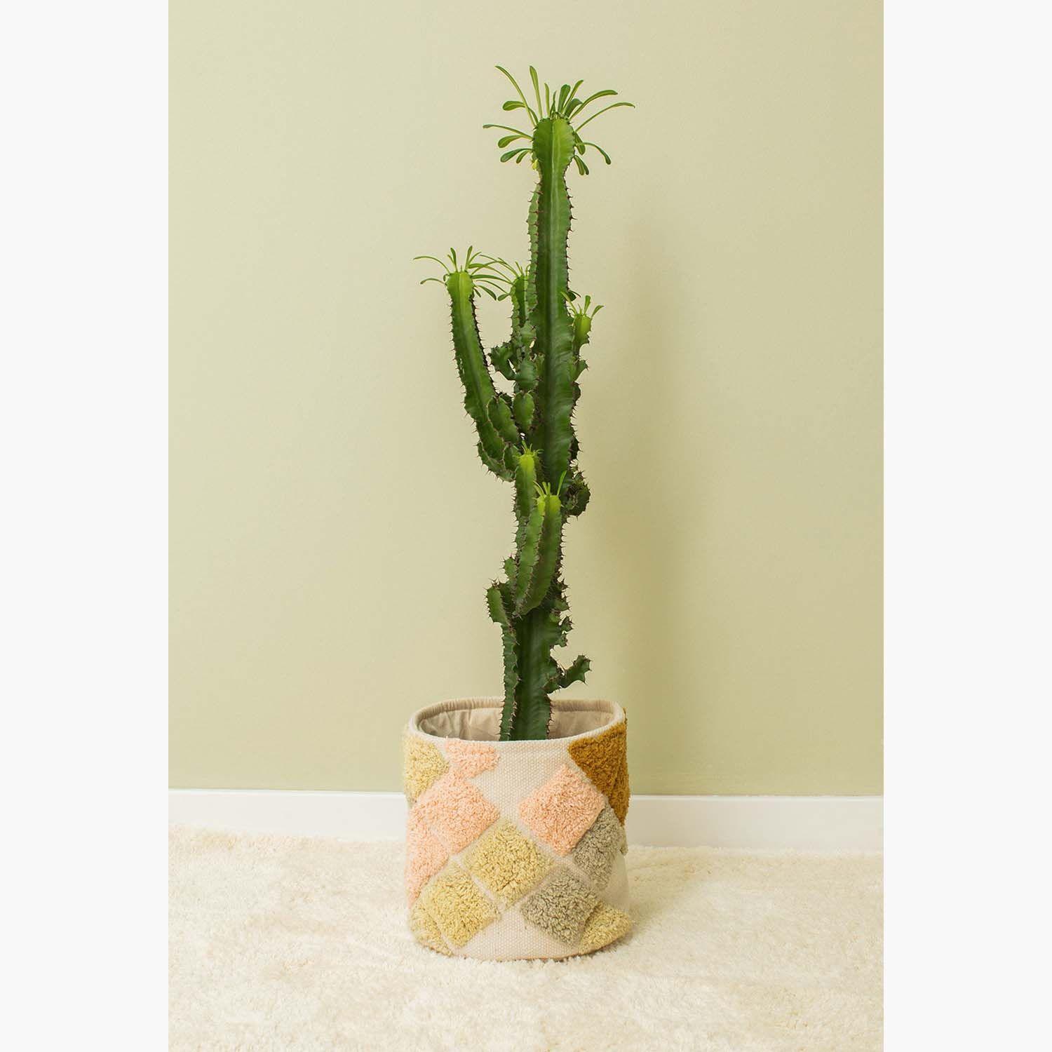 Canasto Elsa Verde-3