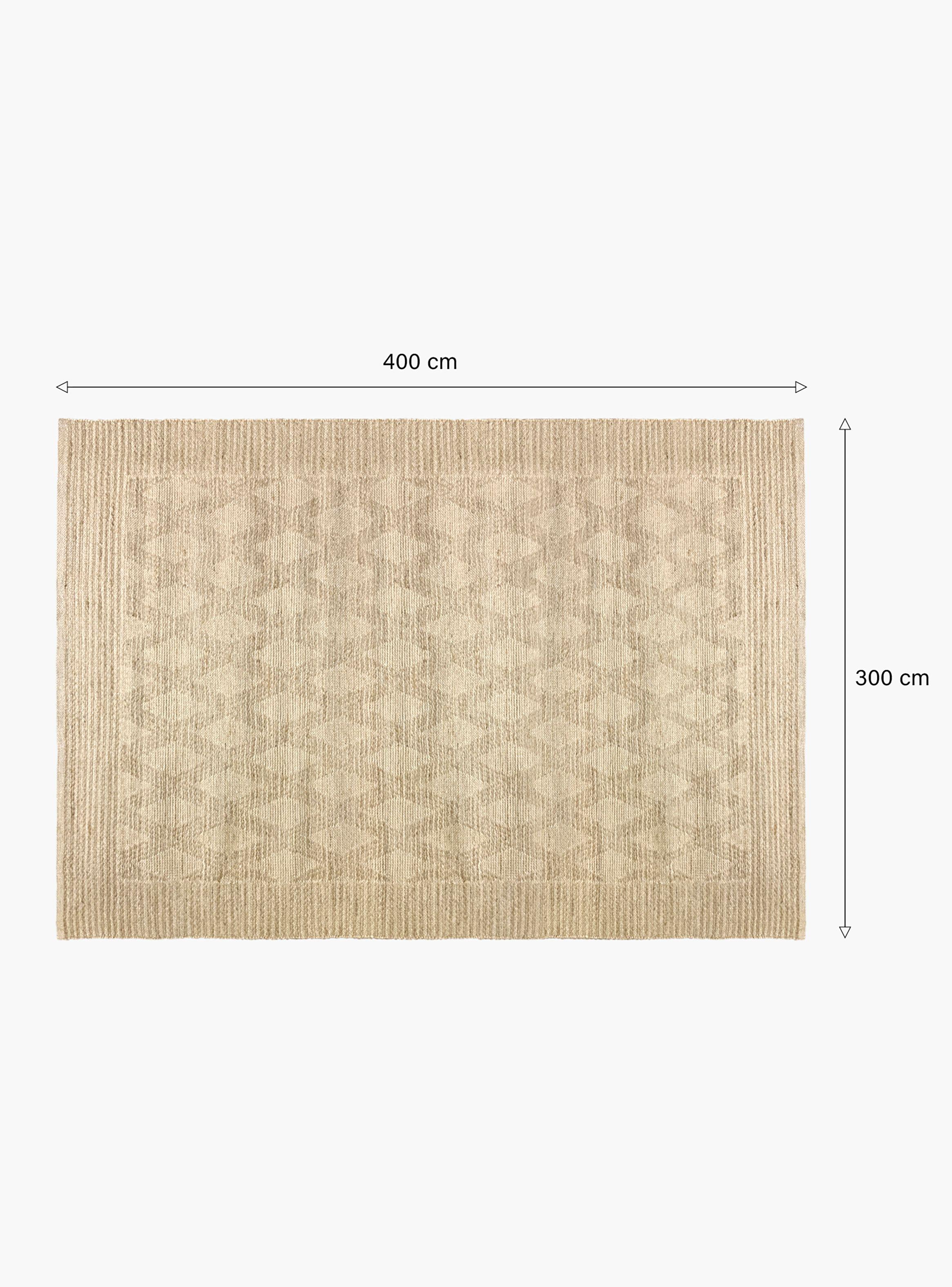Alfombra Sisal Clay 300x400-3