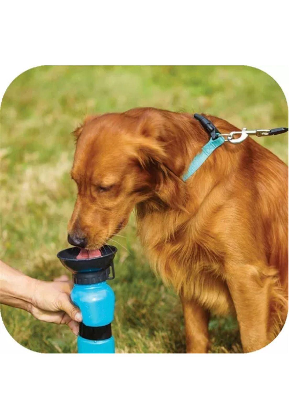 Dispensador de agua de 500 ml, portátil para perros y gatos, azul-5