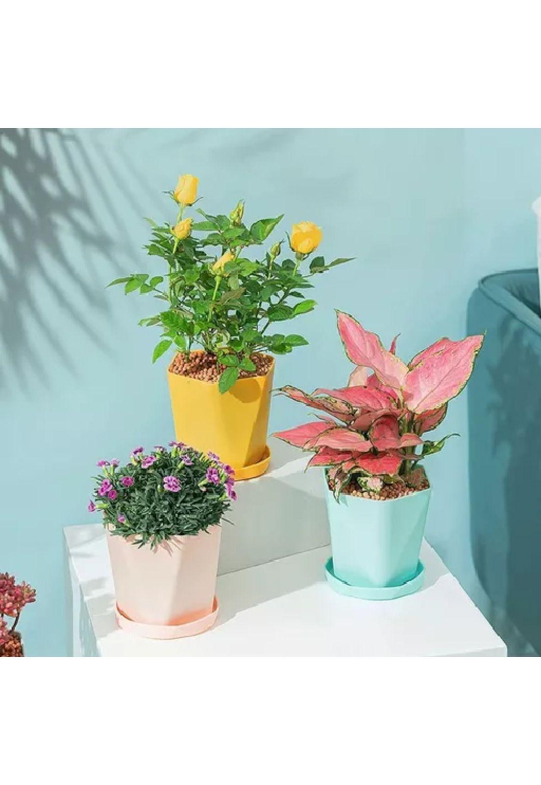 6 Moldes para Jardineras Pequeñas Moldes para Plantas-5
