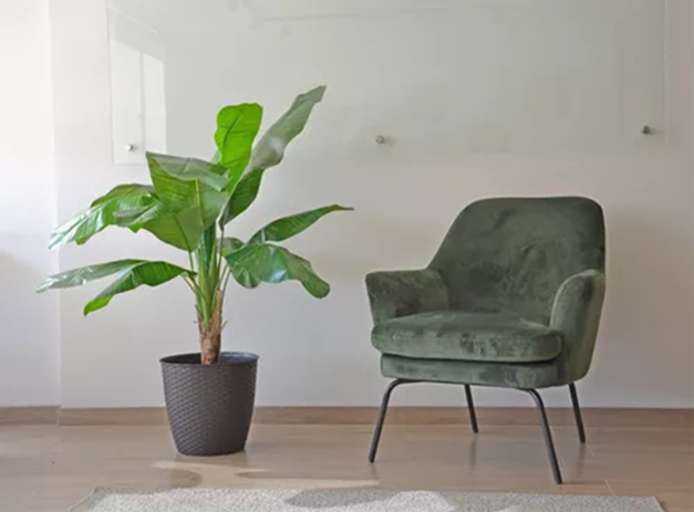 Planta Artificial Banano 120cm Luxury 12 Hjs  Arbusto Real-2