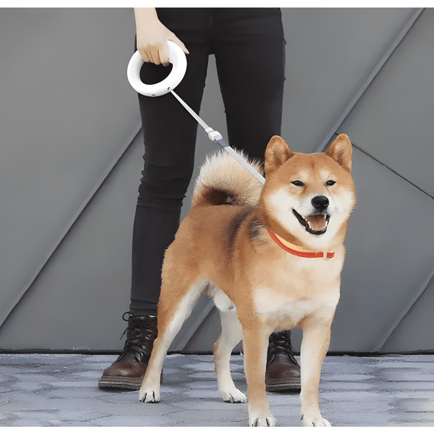 Correa doble para mascotas perros - retráctil 360 grados-3