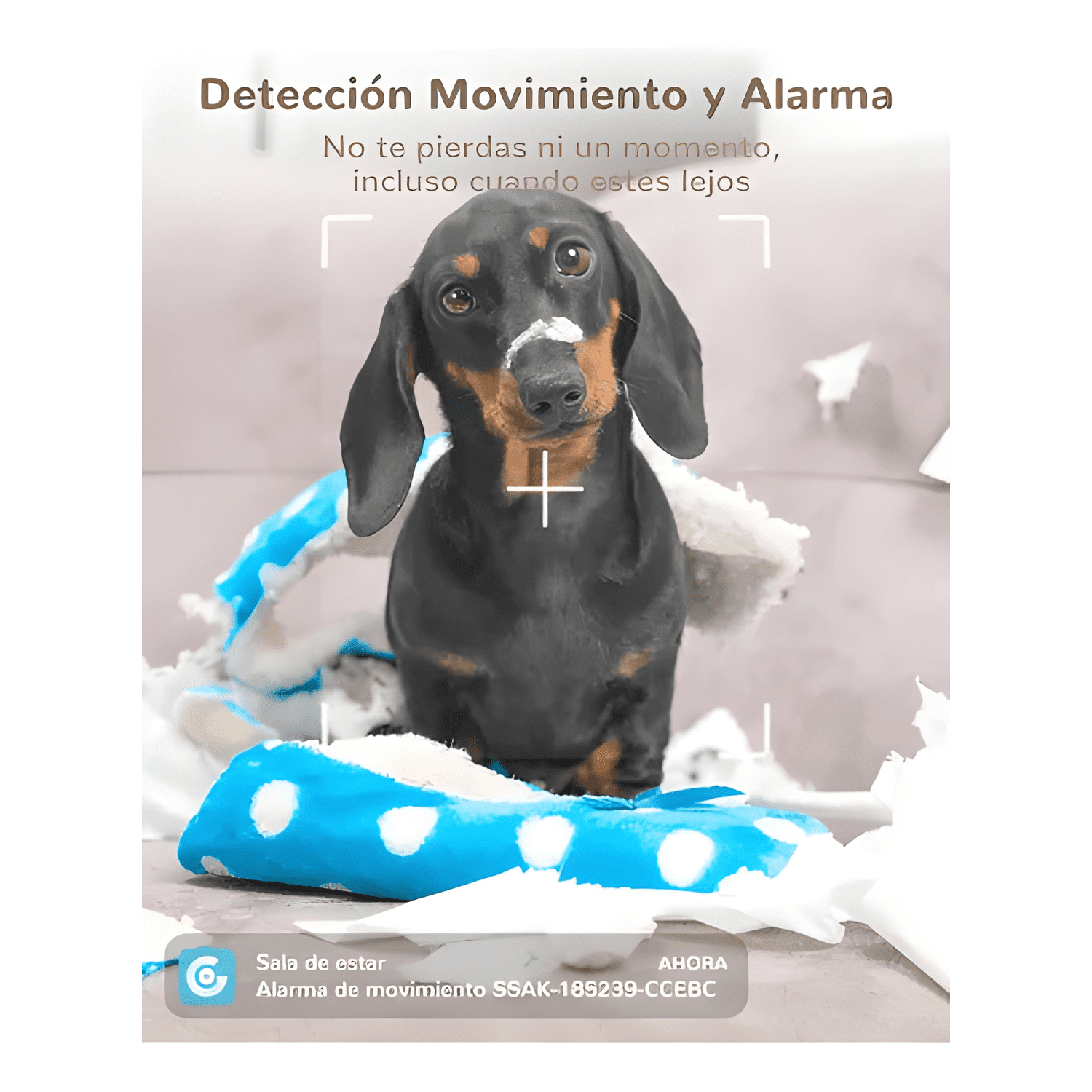 Genbolt® Cámara de Seguridad Wifi Interiore Ip Vigilancia-2