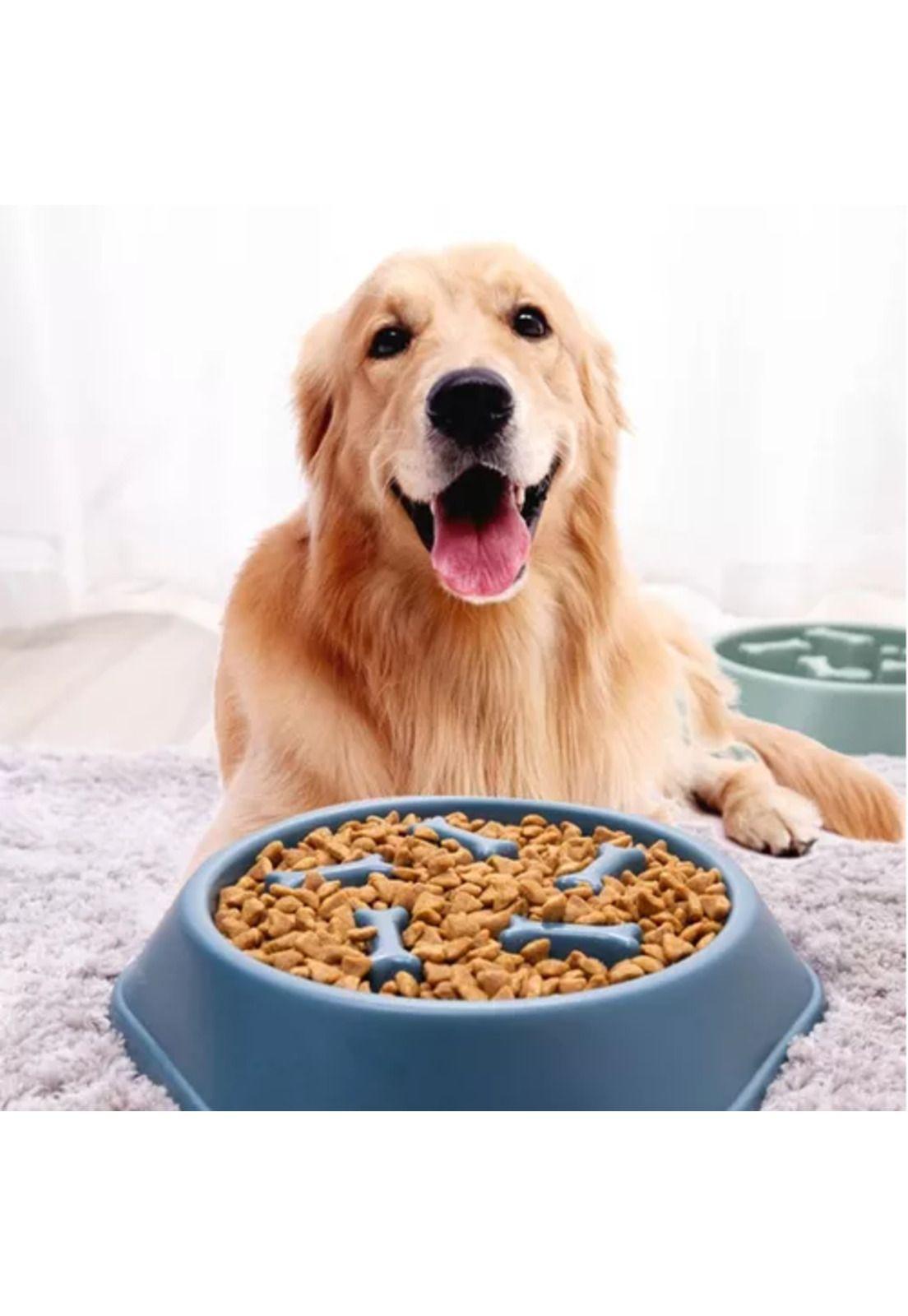 Plato de comida antiansiedad Per-Ros, color verde, para mascotas-5