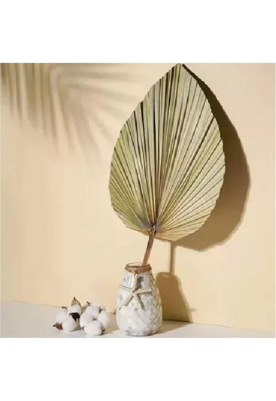10 Piezas de Hojas de Palma Secas Forma de Corazón Tropical-1