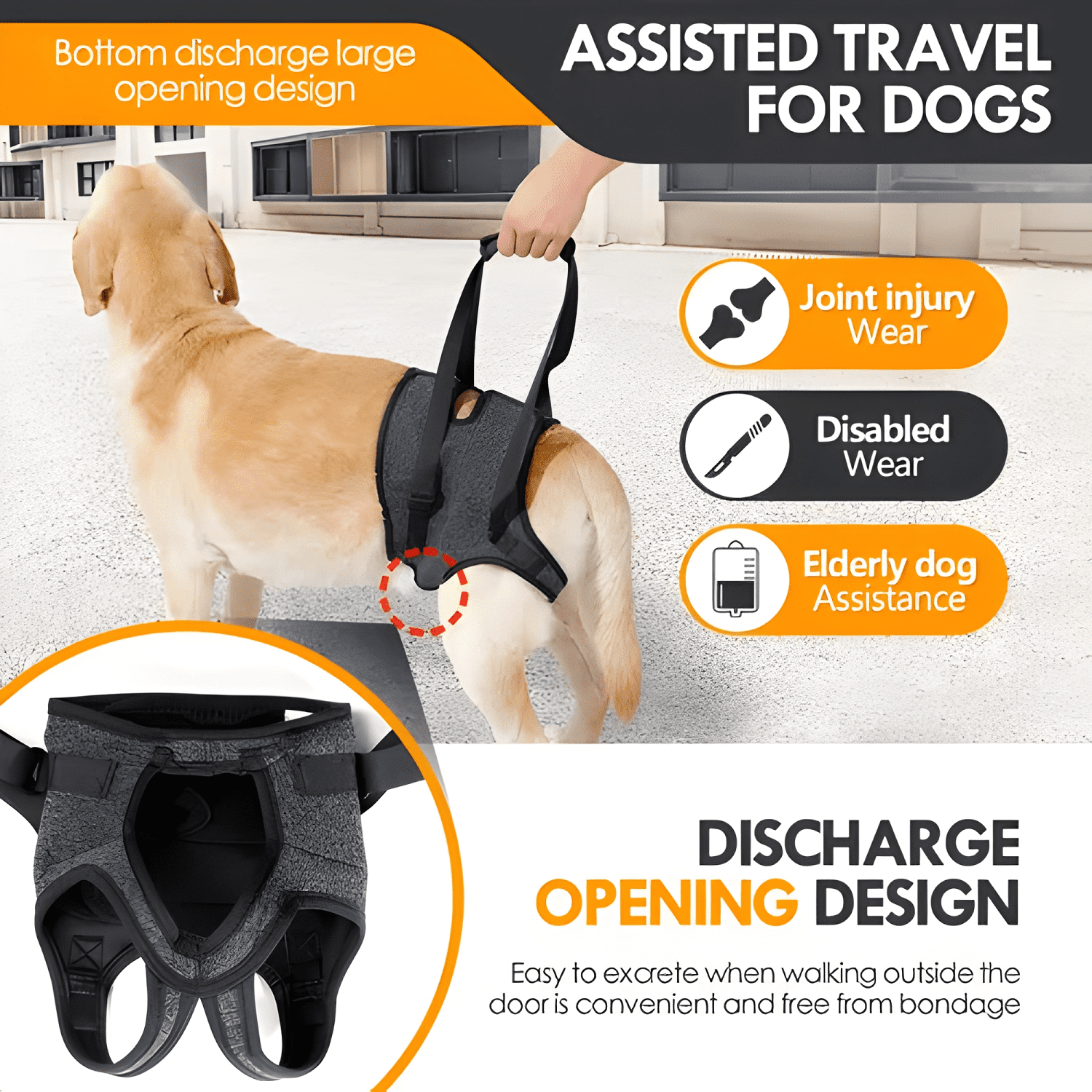 Correa de soporte para patas traseras-perros mayores/heridos-2