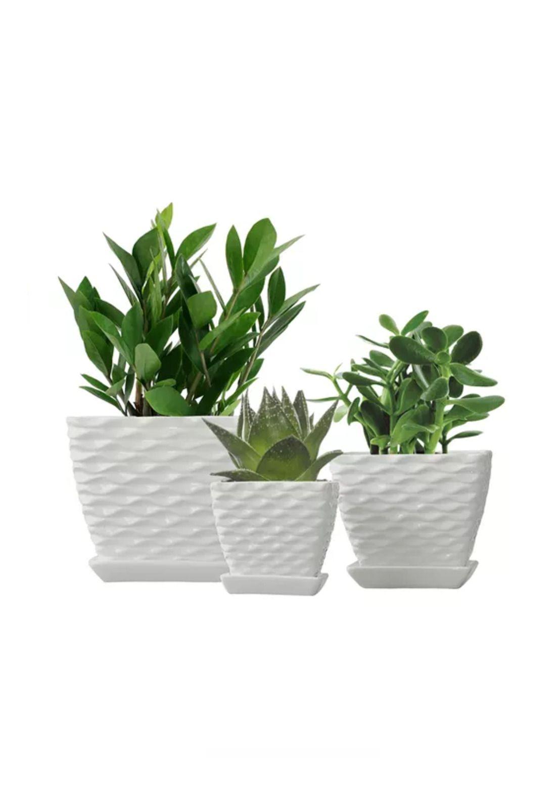 Set de 3 Maceteros Cuadrados Blancos con Líneas Curvas-3