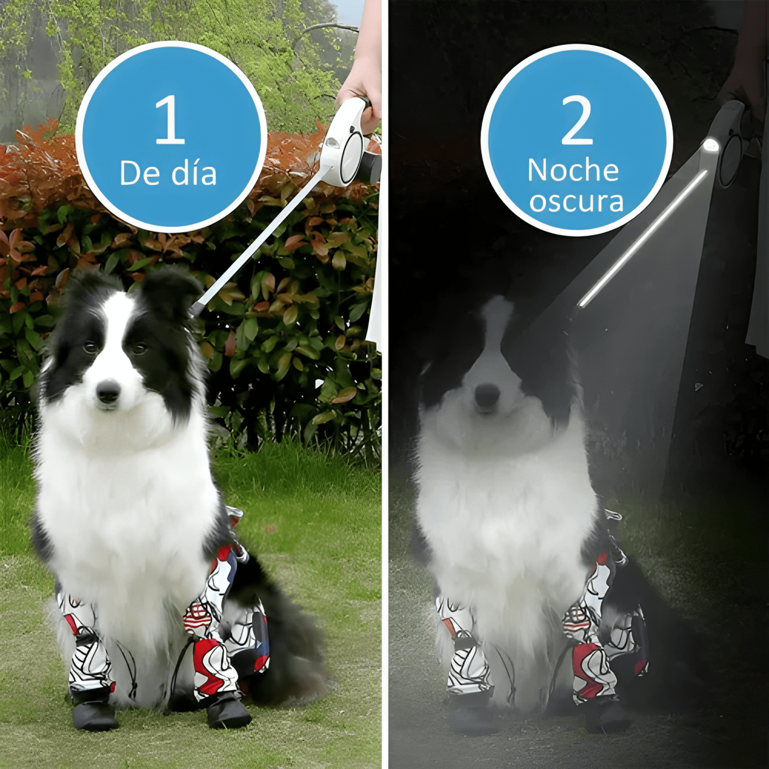 Correa retráctil para perro 5m hasta 50kg con lucesled-3