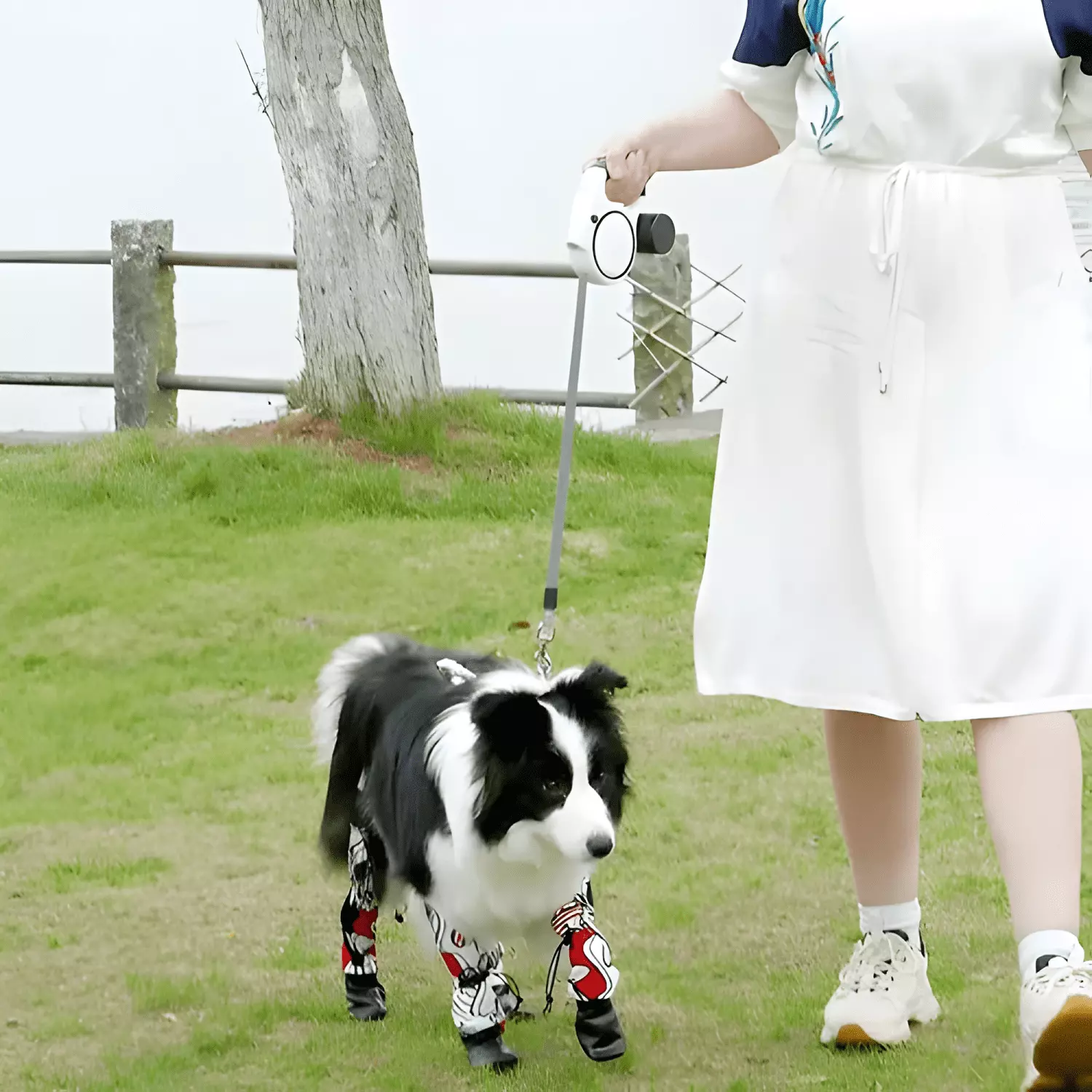 Correa retráctil para perro 5m hasta 50kg con lucesled-4