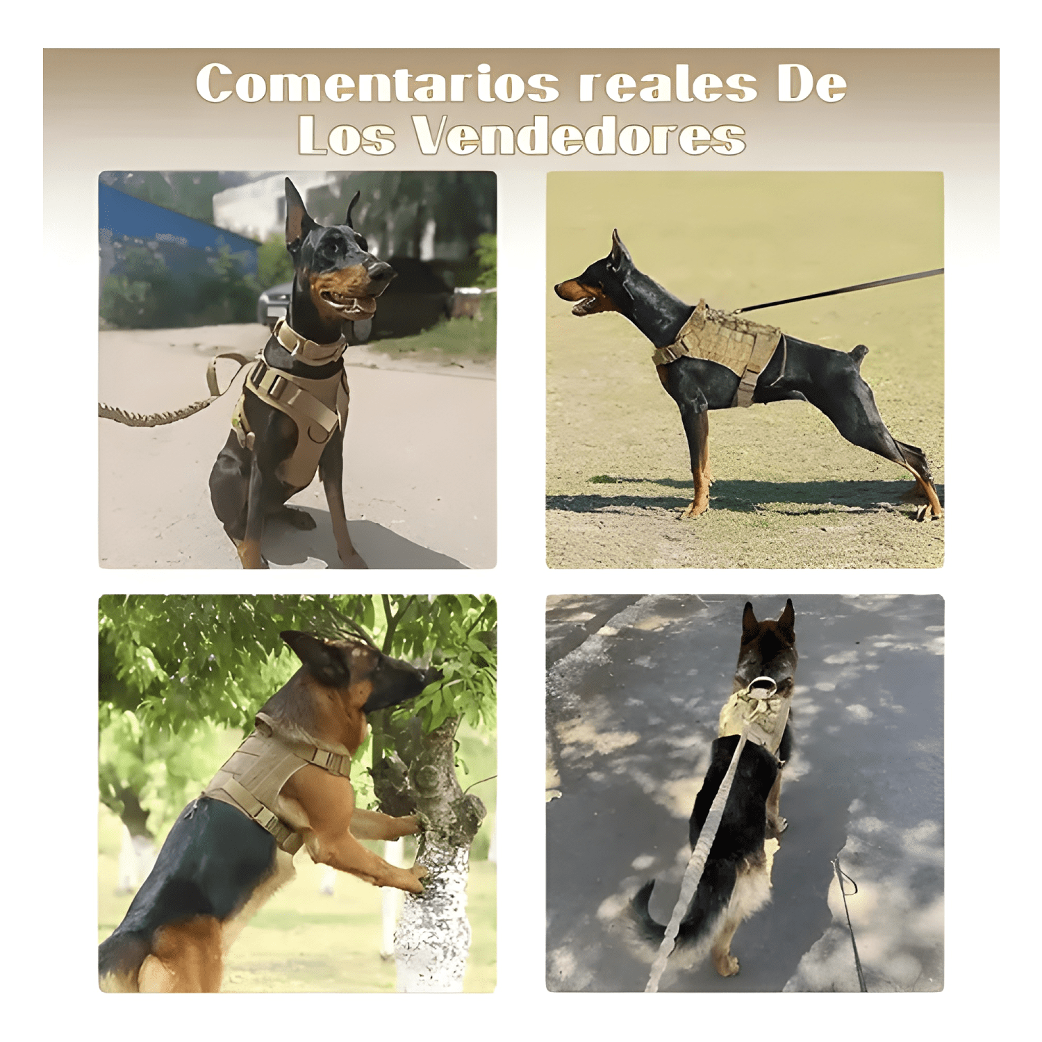 Táctico estable arnés para perros grandes y medianos-4