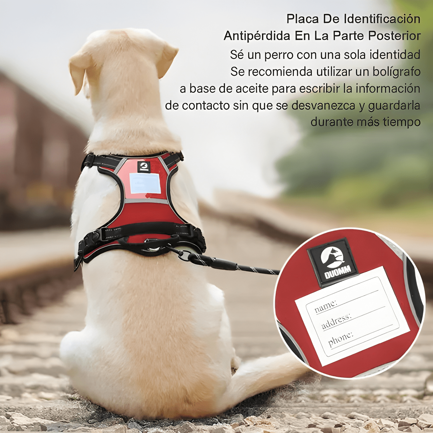 Imagen de producto