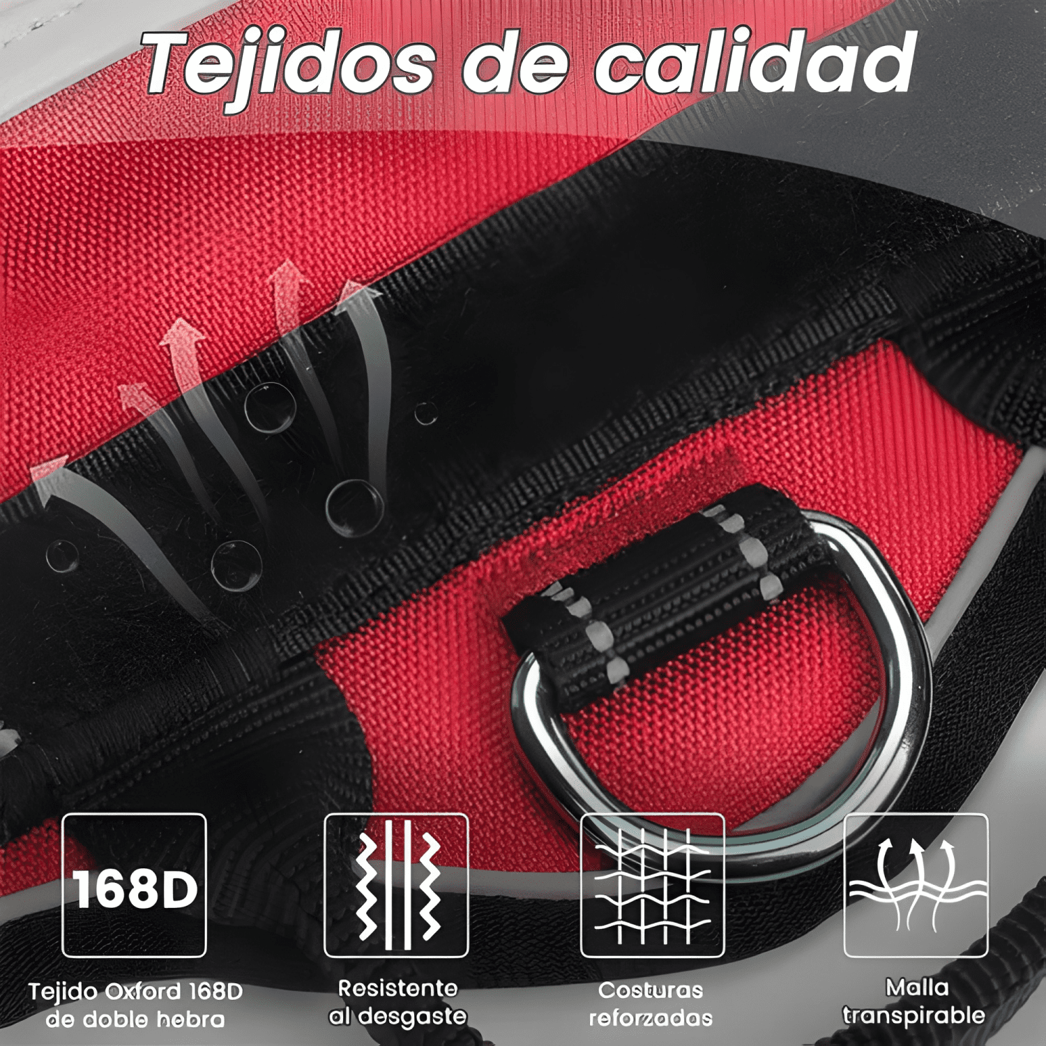 Arnés pechera con LED y correa para perro XL ajustable #4-2