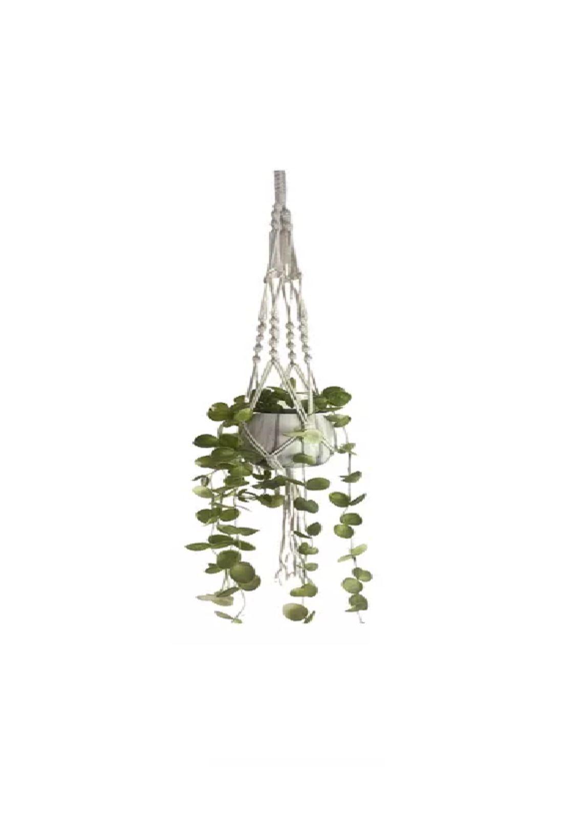Colgante para Macetero de Macramé-2