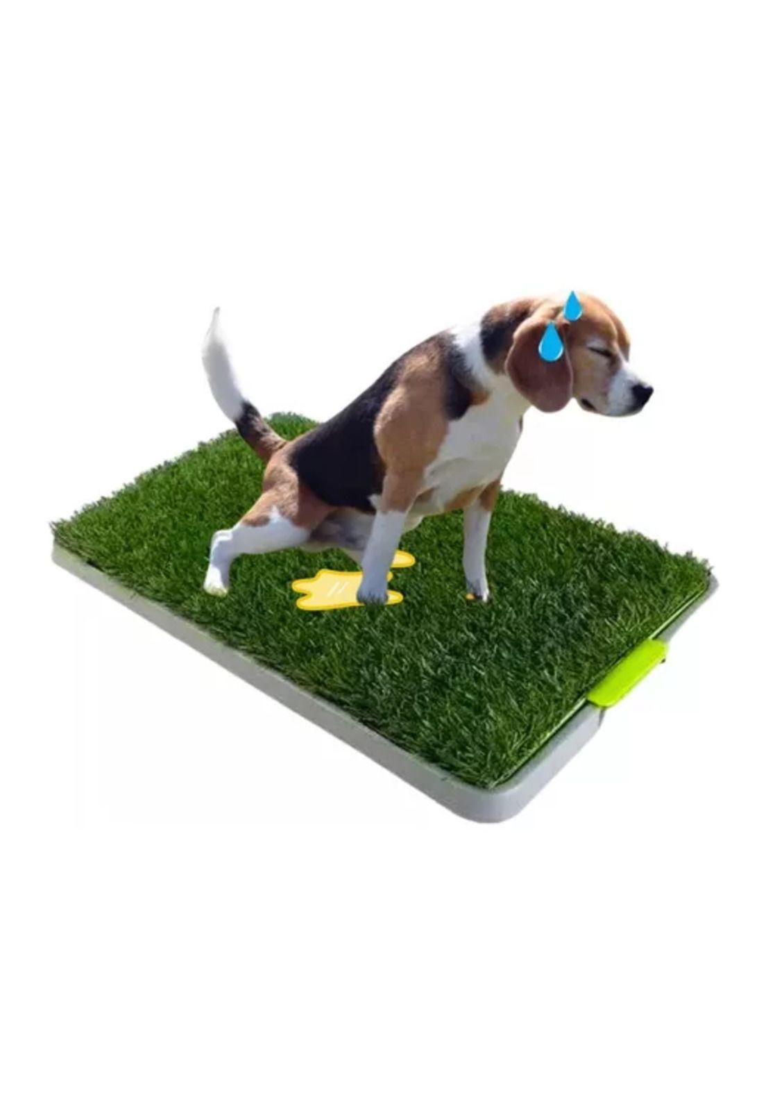 Baño ecológico sanitario para mascotas talla M-5