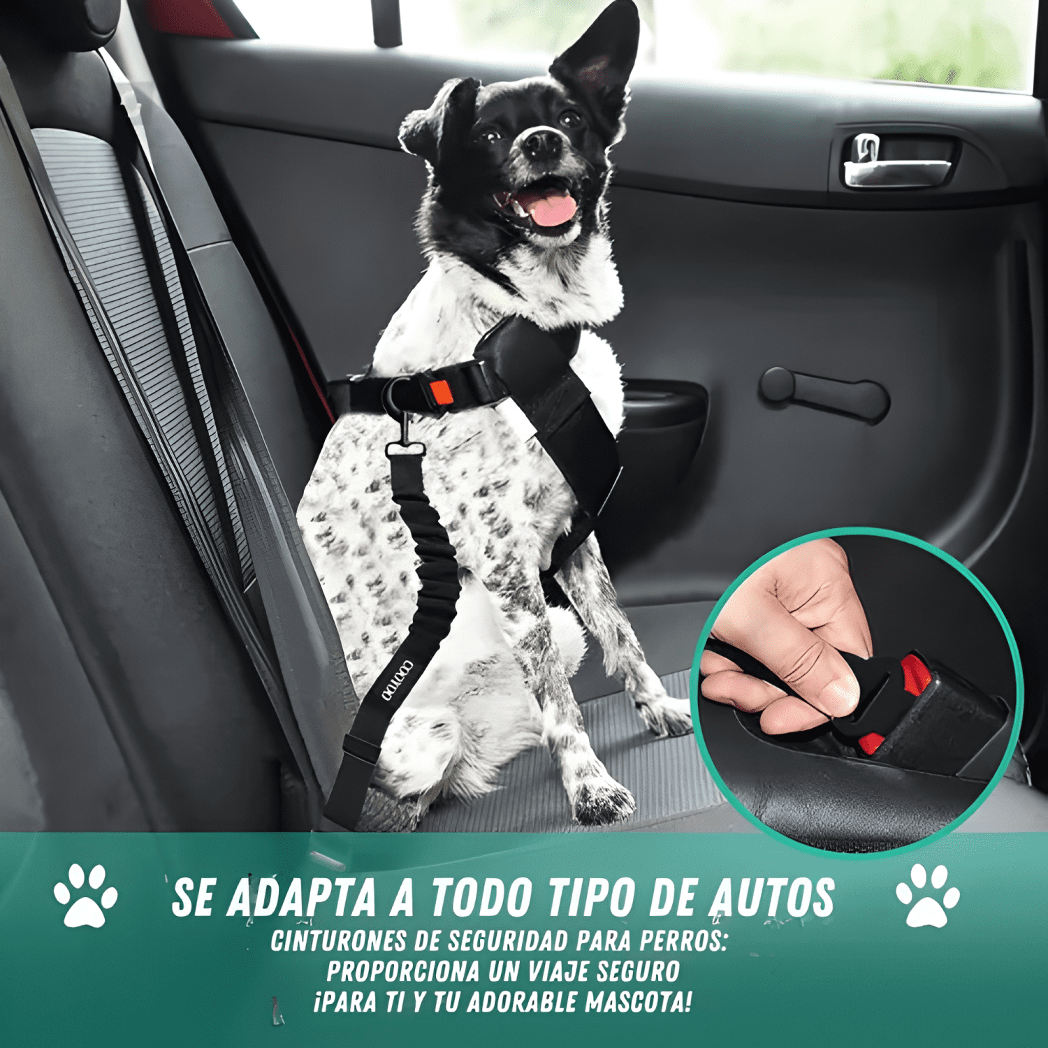 Pack 2 correa seguridad auto perro gato mascota resorte bowl-4
