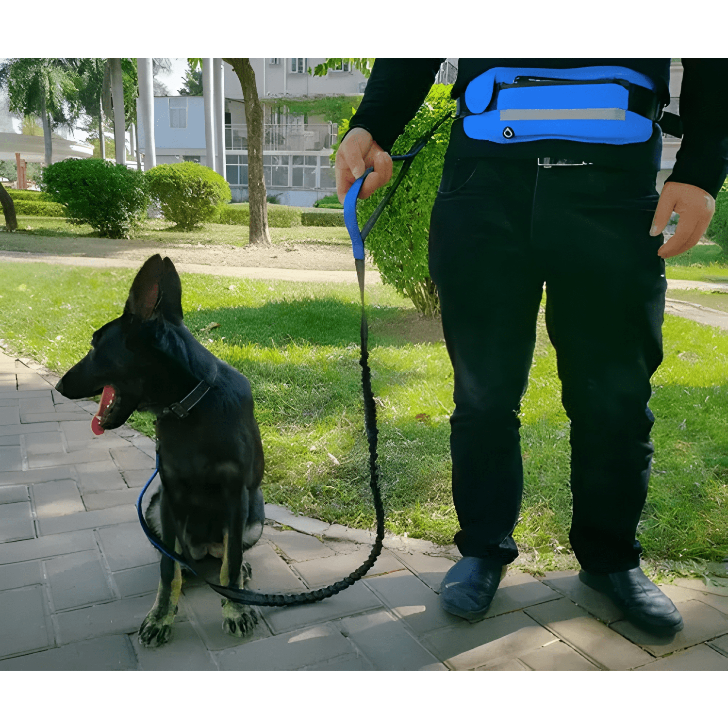 Correa cinturón para correr con tu perro running Rosa-2