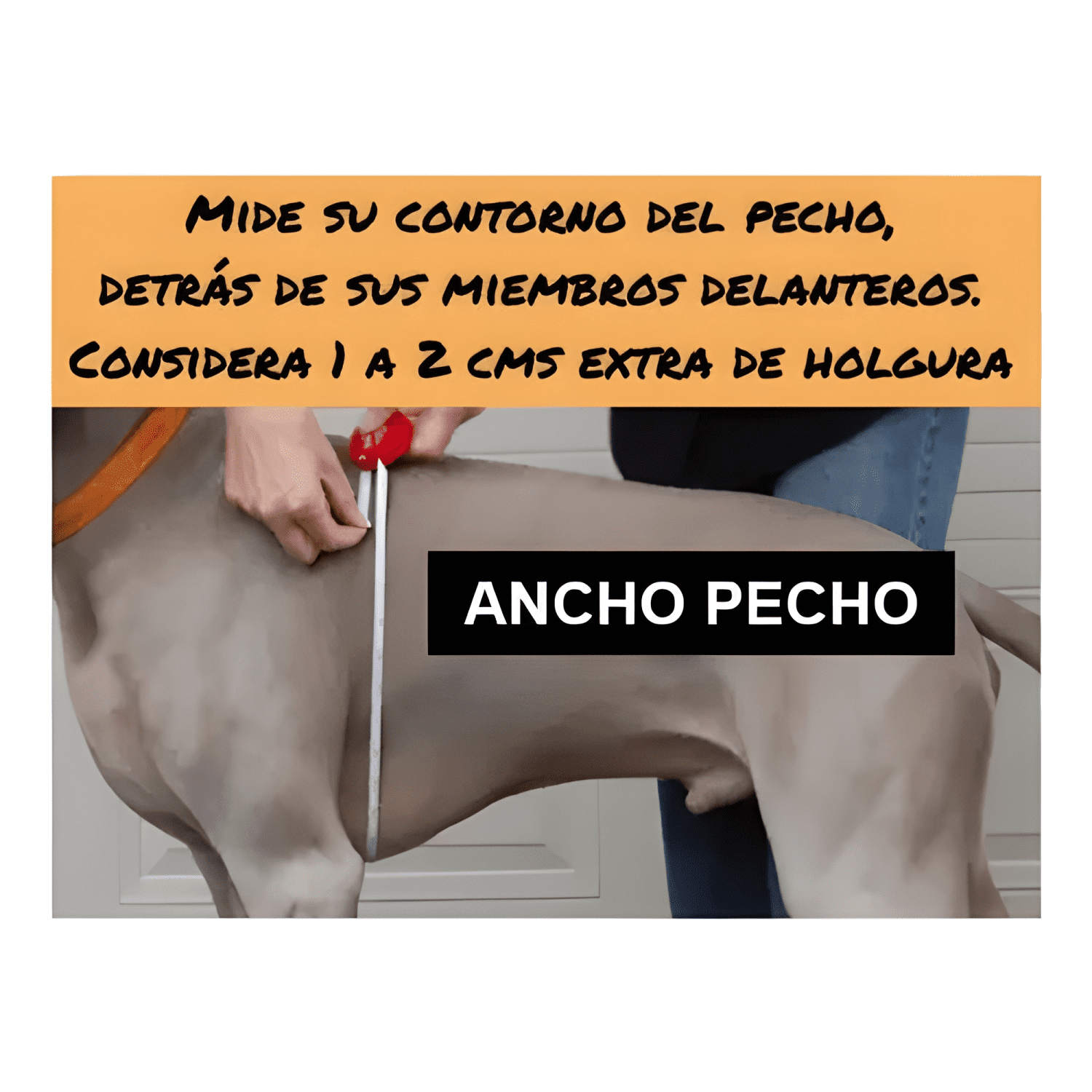 Imagen de producto