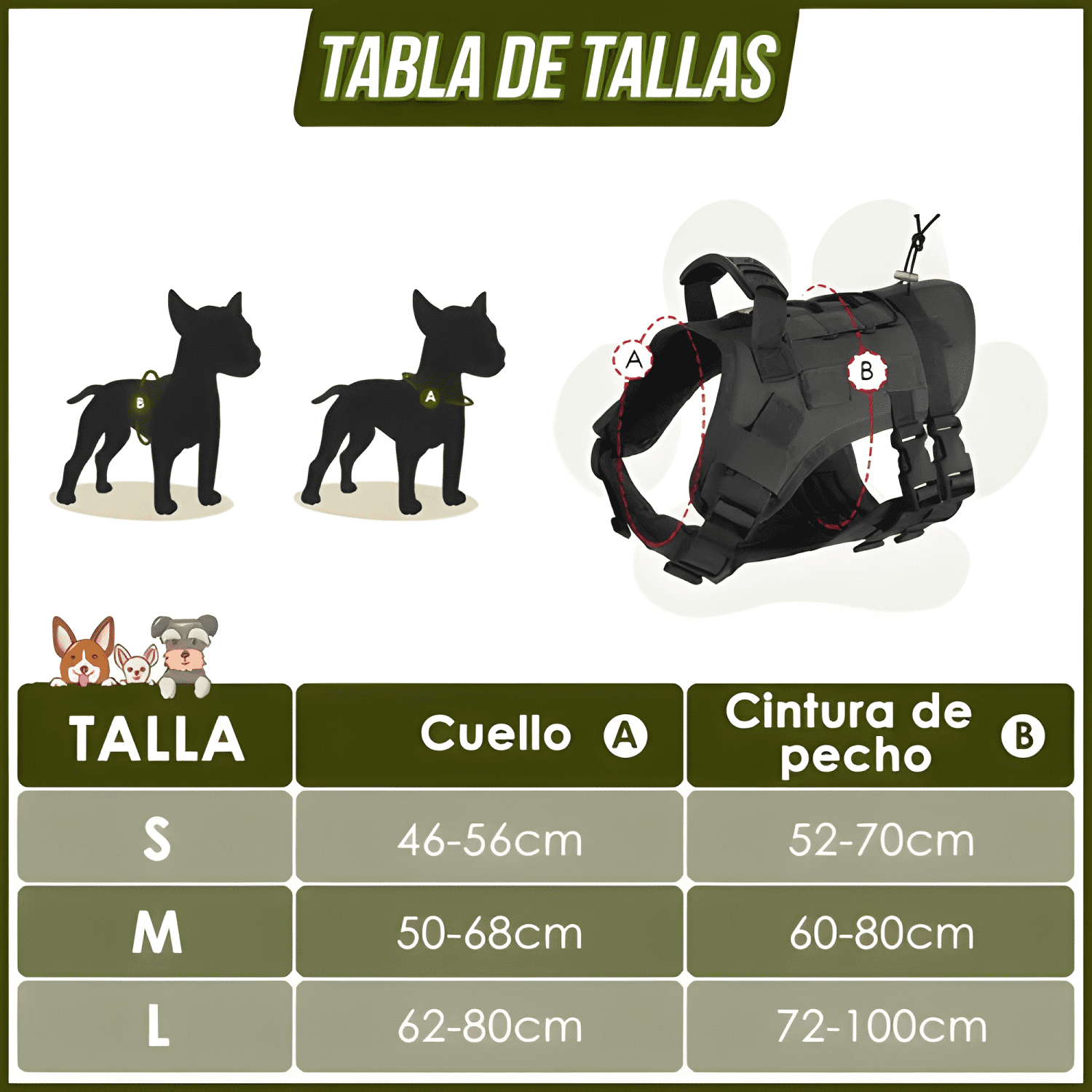 Imagen de producto