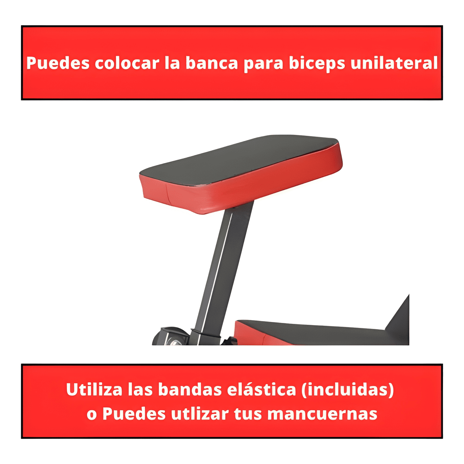 Banca abdominal inclinable para pecho y piernas #2-4