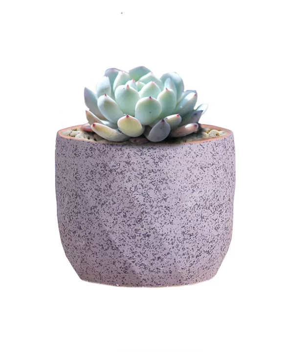 Macetero Geométrico Cerámica Suculentas 72x6cm Pack 10 Verde-2