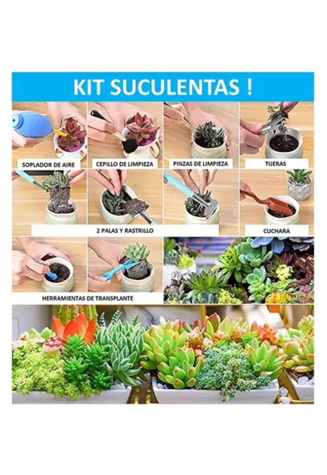 Set de 50 piezas de jardinería pro para suculentas y jardín-4