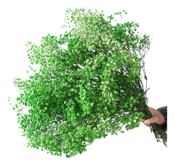 Flores secas gypsophila frondosa decoración-0