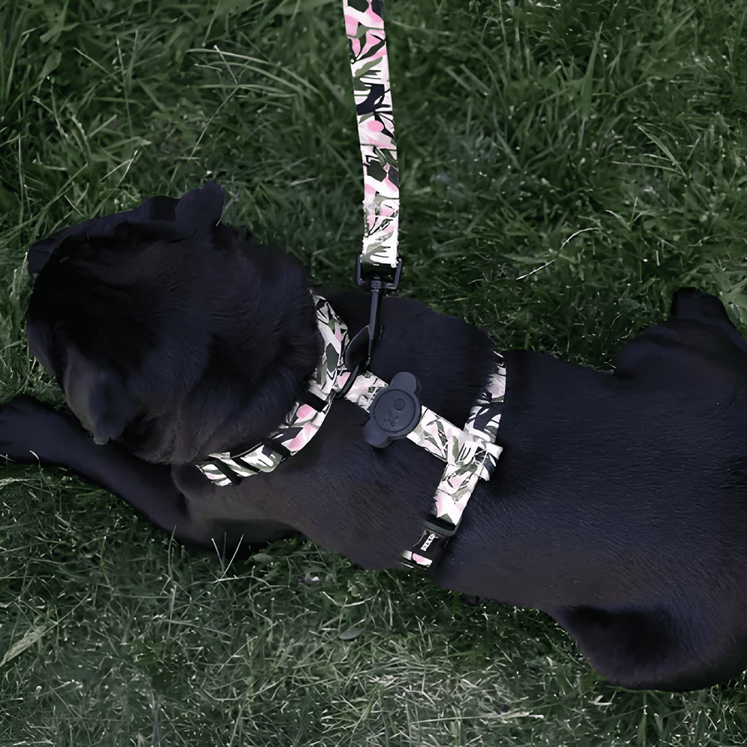 Brnx arnés tipo h para perro diseño forest pink talla m-2