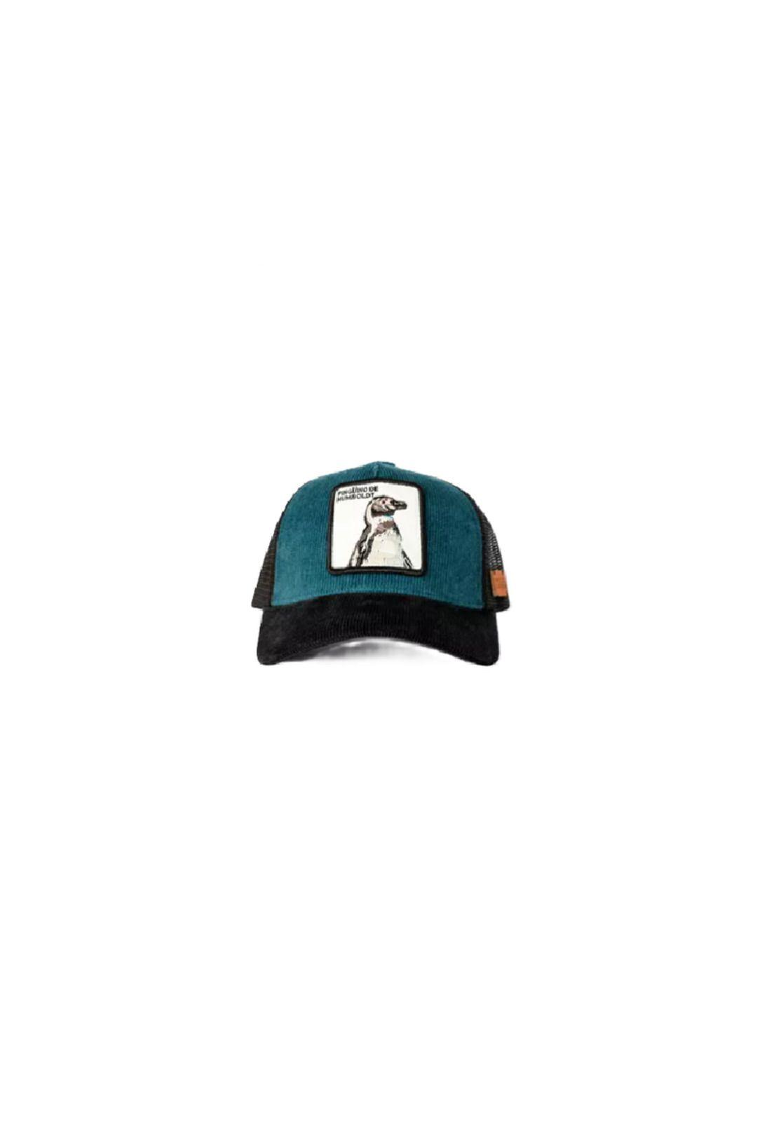 Jockey Pingüino de Humboldt Petróleo Multicolor-2