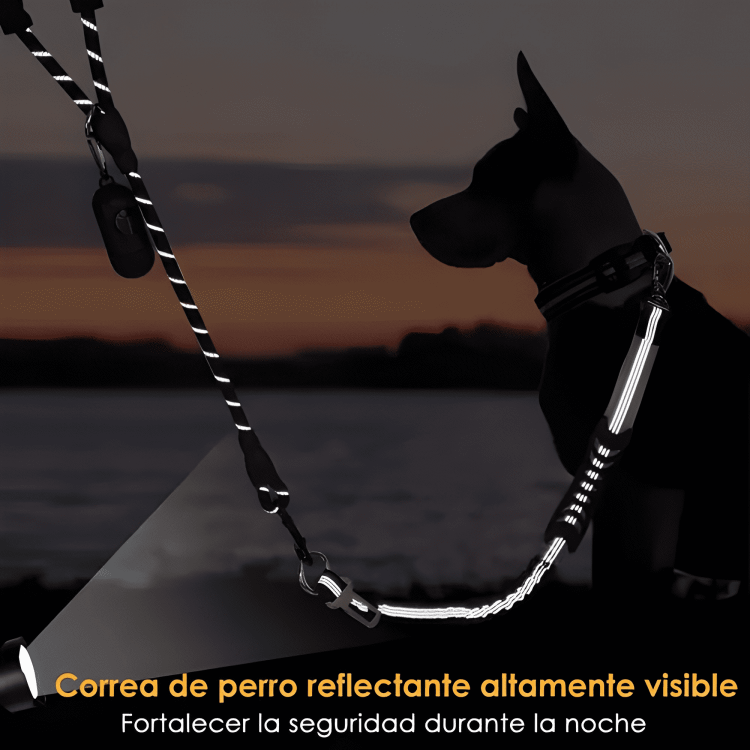 Correa cinturón seguridad 2 en 1 auto perros con dispensador-2