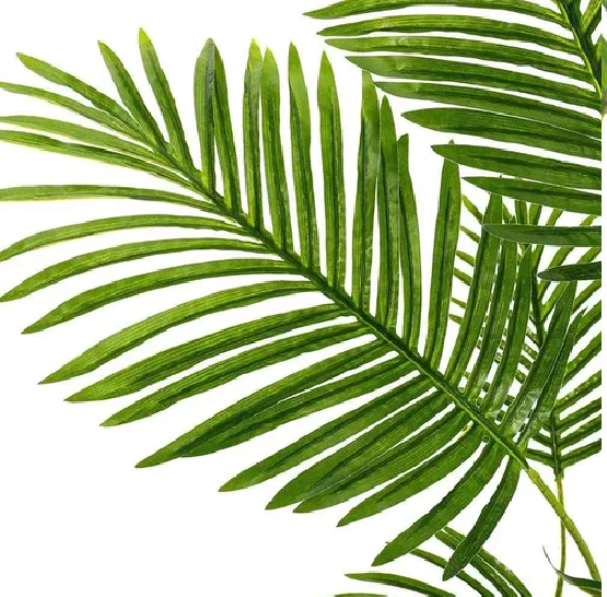 Planta Artificial Enredadera Palmera 11m Decoración Hogar-5