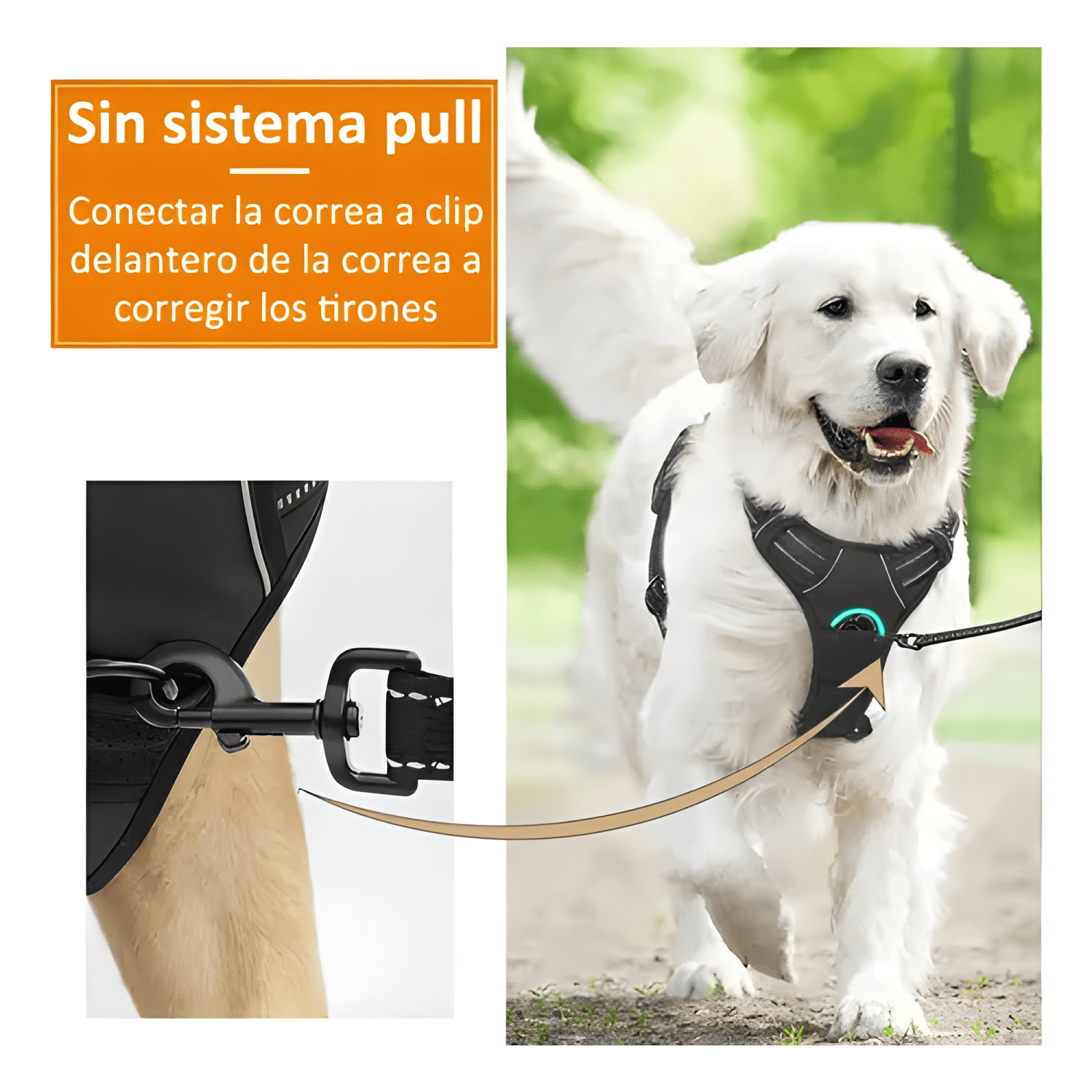 Norplat pechera perro arnés anti tirones reflectante-3