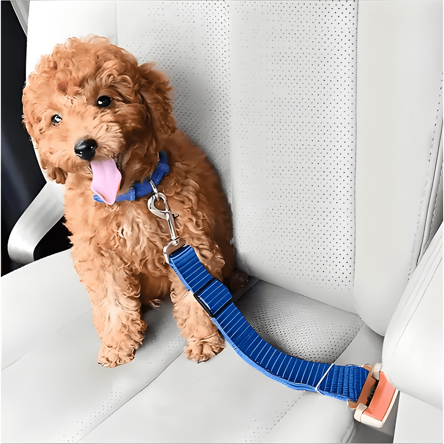 Cinturon seguridad mascota perro auto ajustable correa Azul-3