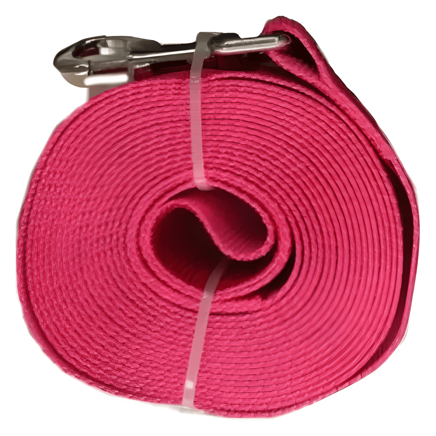 Correa plana larga resistente para perros 4,5metros x 3,8cm-2