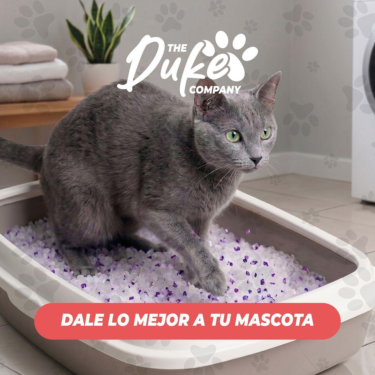 Arena Sanitaria Para Gatos Cristales De Silice Sin Polvo Aroma Lavanda 3 2 Kg Duke Control De Olores-9