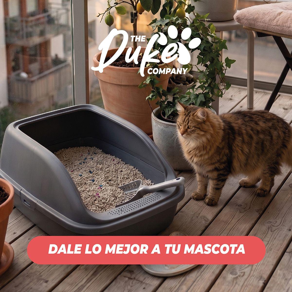 Arena Para Gato 20 Kilos Duke Bentonita Arena Sanitaria 20kg Aglutinante Absorbente Aroma Limon-8