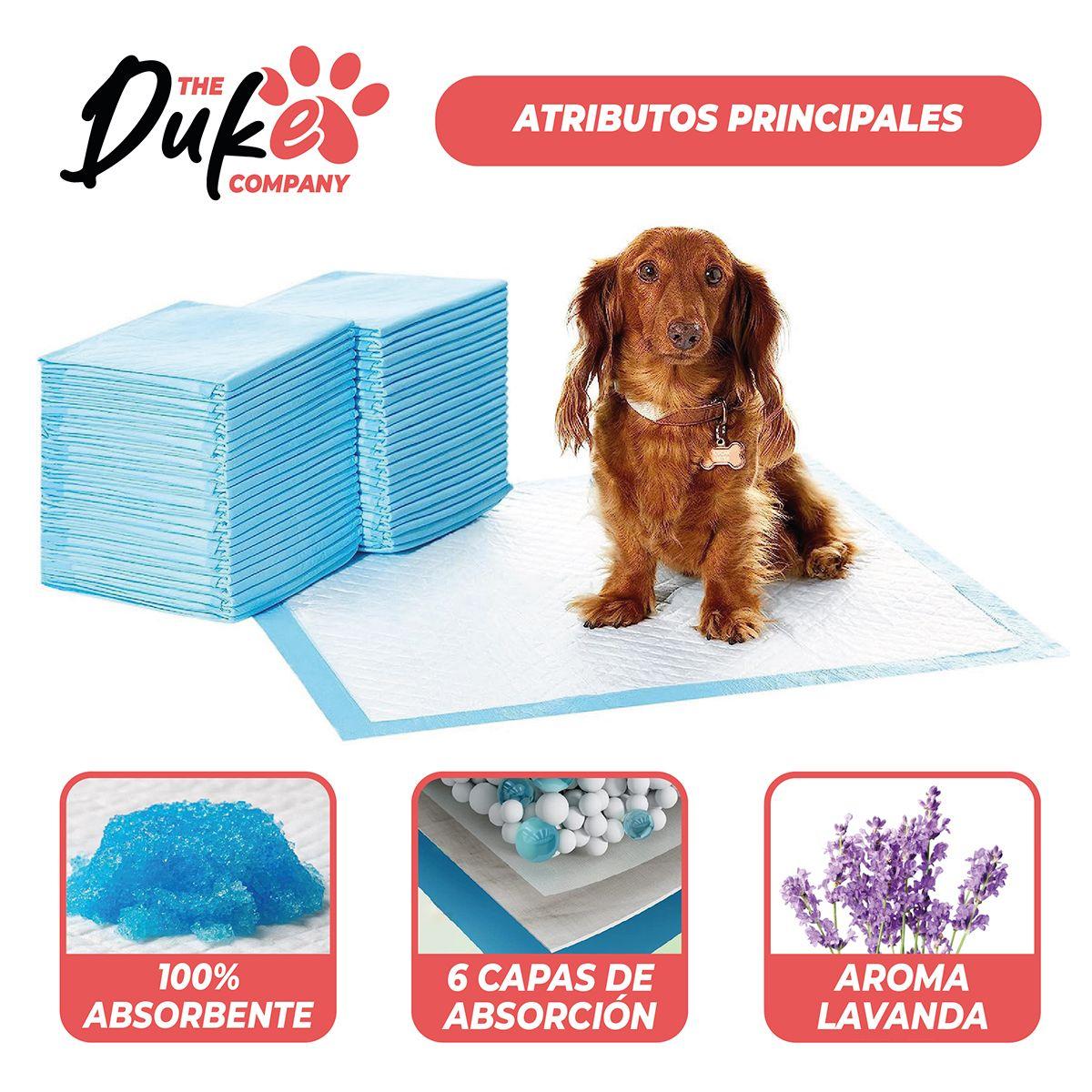 Sabanillas Para Perro  60x60 Duke 6 Capas Aromáticas 100U-3