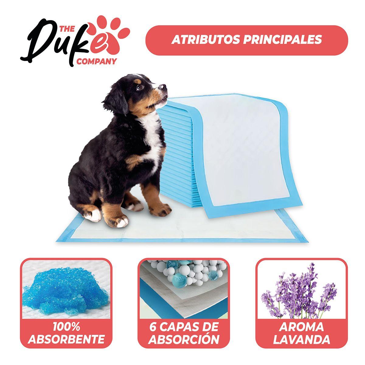 Sabanillas Para Perro 45x60 Duke 6 Capas Aromáticas 100u-2