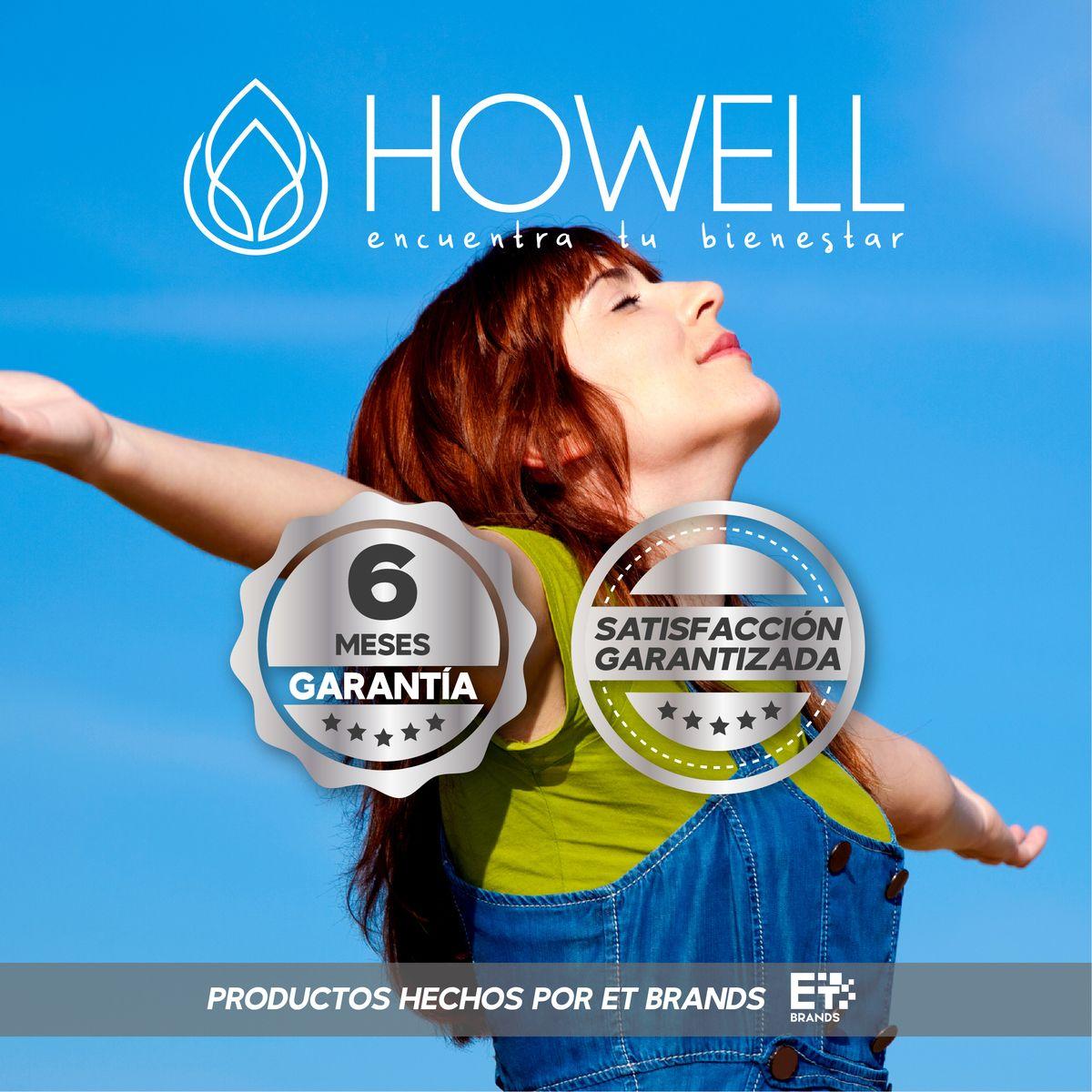 Pack 50 Tiras Reactivas Glucosa Howell Bs-602 Para Glucometro Bg-710b Frasco Hermetico Negro-9