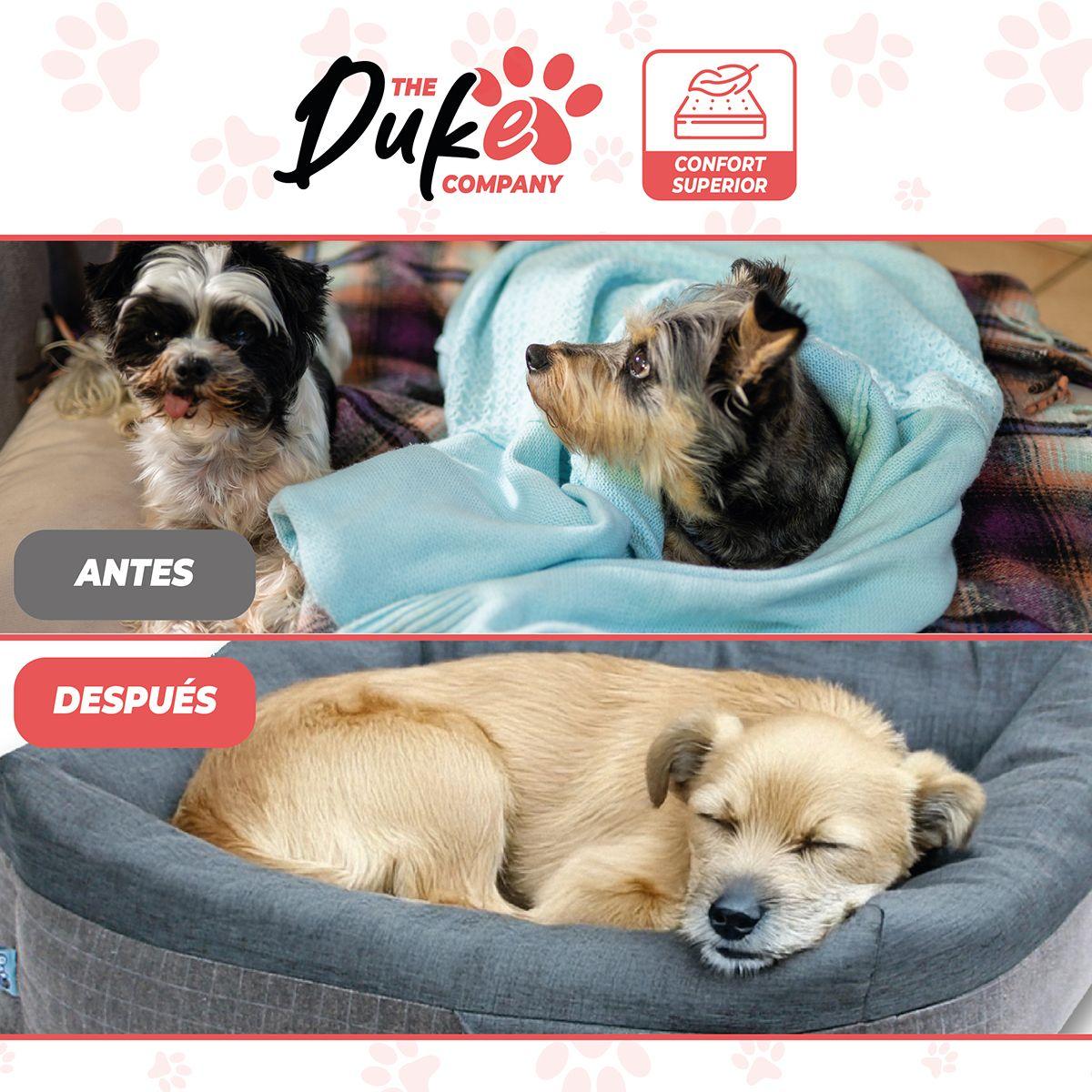 Cama Para Perro Mascotas Antiestres Lavable Duke Talla S-5