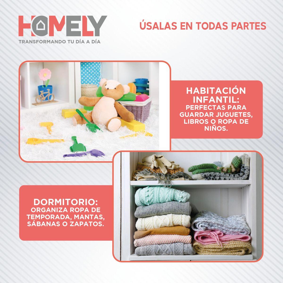 Cajas Organizadoras Homely Tapa Tela Impermeable 22L Set X2-4