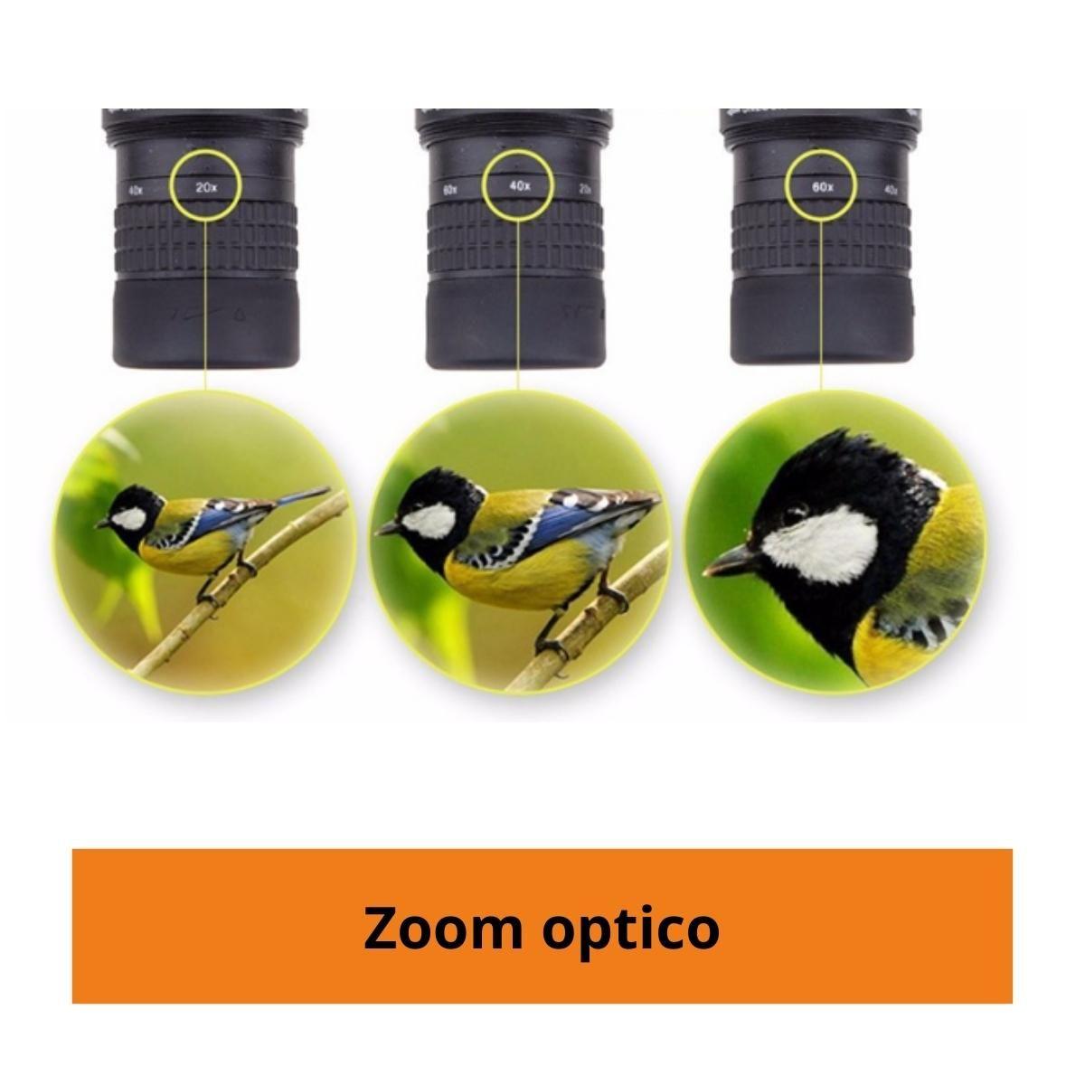 Telescopio Terrestre Spotting Scope 20-60x60 Tripode-3