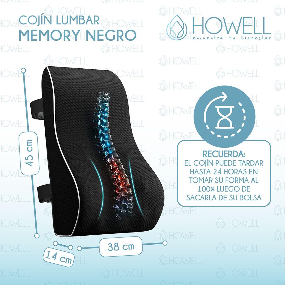 Cojin Lumbar Ortopedico 3D Mesh Howell Espalda Memory Dorsal-2