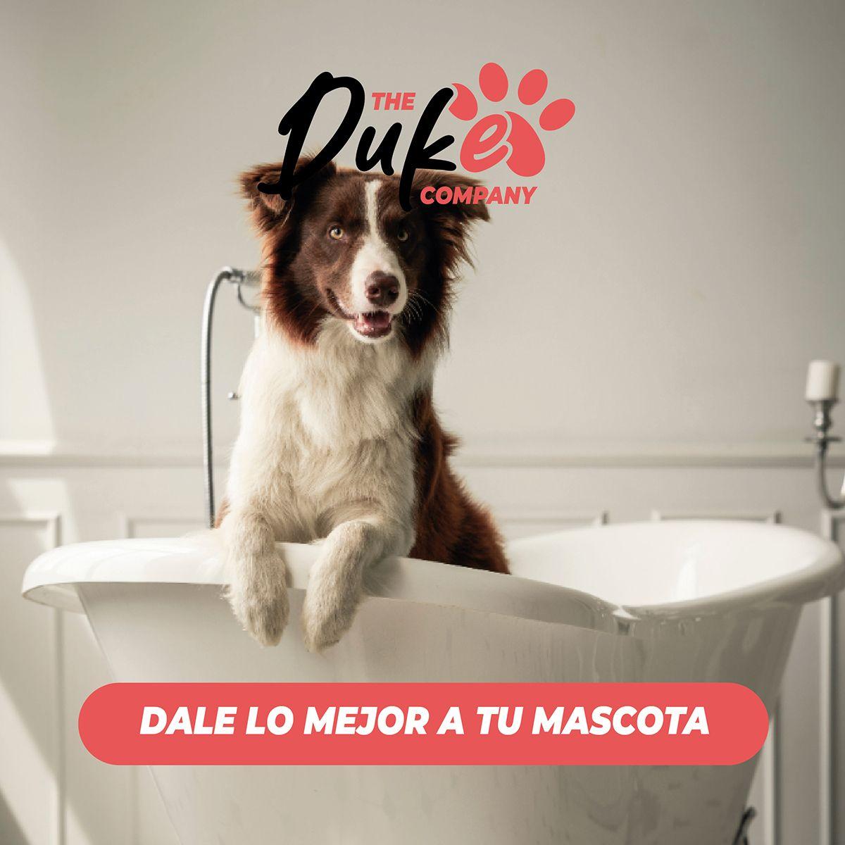 Toalla Microfibra Para Mascotas The Duke Company 101 X 60 Cm Gris-9