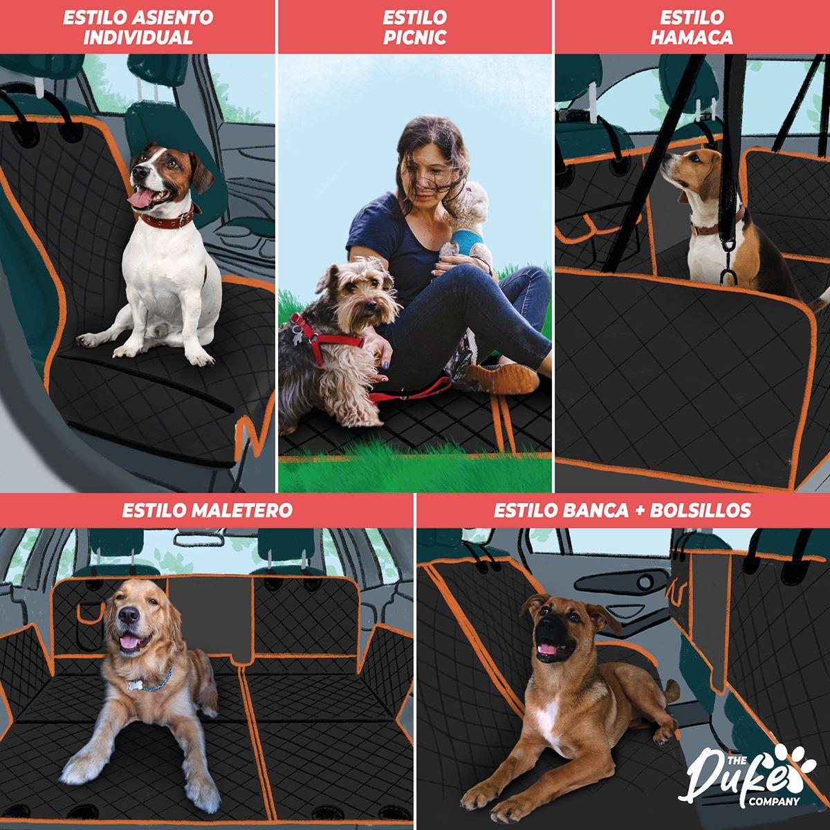 Cubre Asiento Auto Para Mascotas Funda Cobertor Duke 5 en 1-1