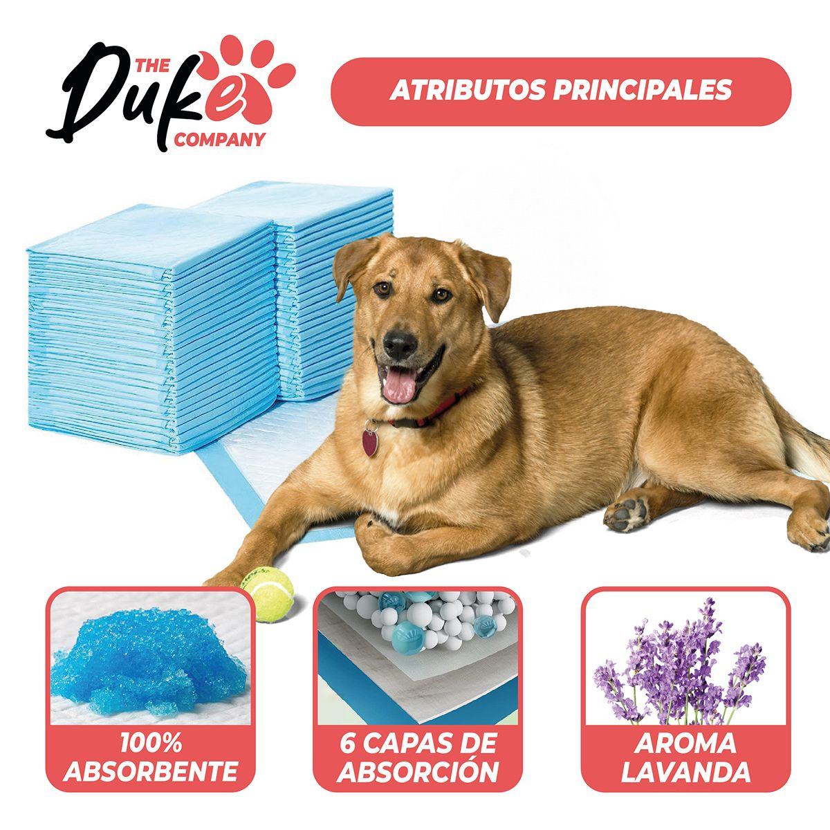 Sabanillas Para Perro 90x60 Duke 6 Capas Aromáticas 40U-3