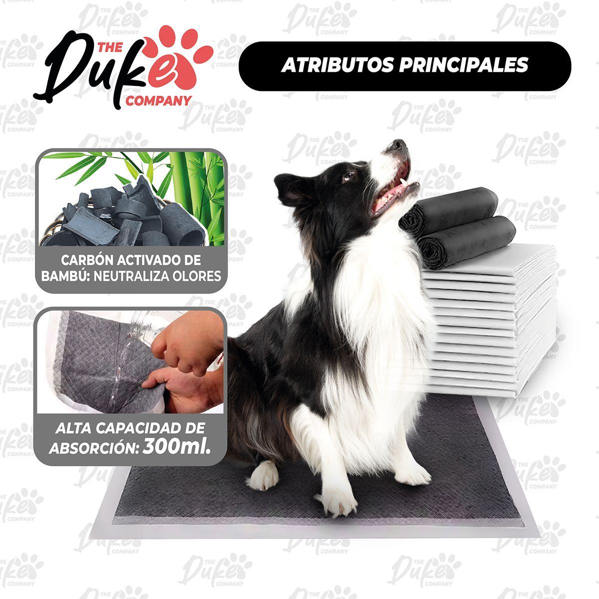Sabanillas de Perro Carbon 60x60 Duke 6 Capas Aromaticas 40U-4